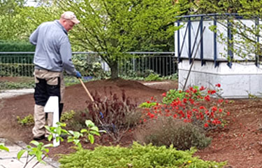 home-gartenpflege home-gartenpflege